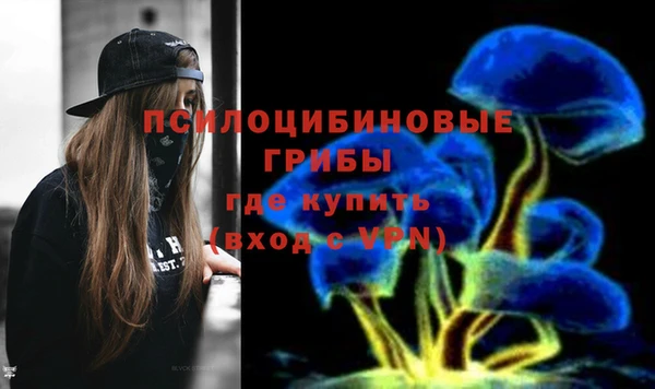 спайс Алексеевка