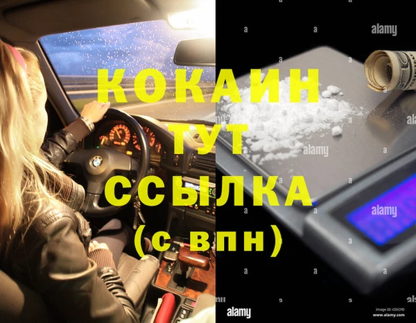 стафф Алзамай