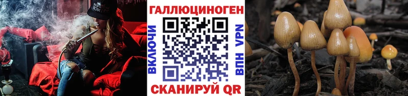 мориарти Telegram  Новая Ляля  Галлюциногенные грибы ЛСД  как найти закладки 