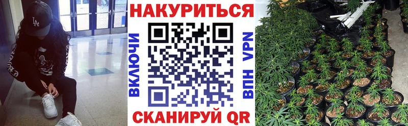 Бошки марихуана VHQ  Новая Ляля 